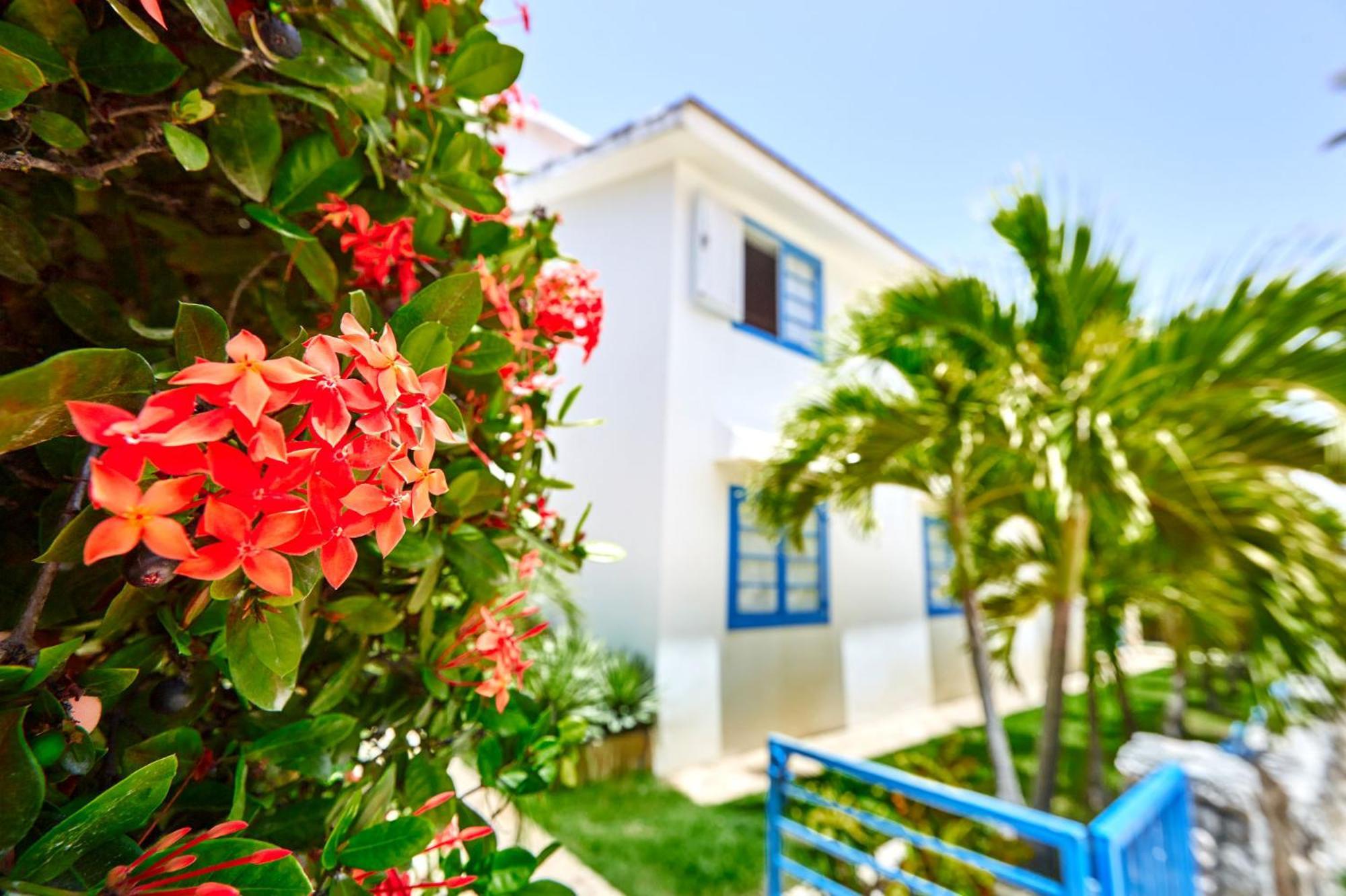 La Flor Del Caribe Beach & Spa Punta Cana Oda fotoğraf