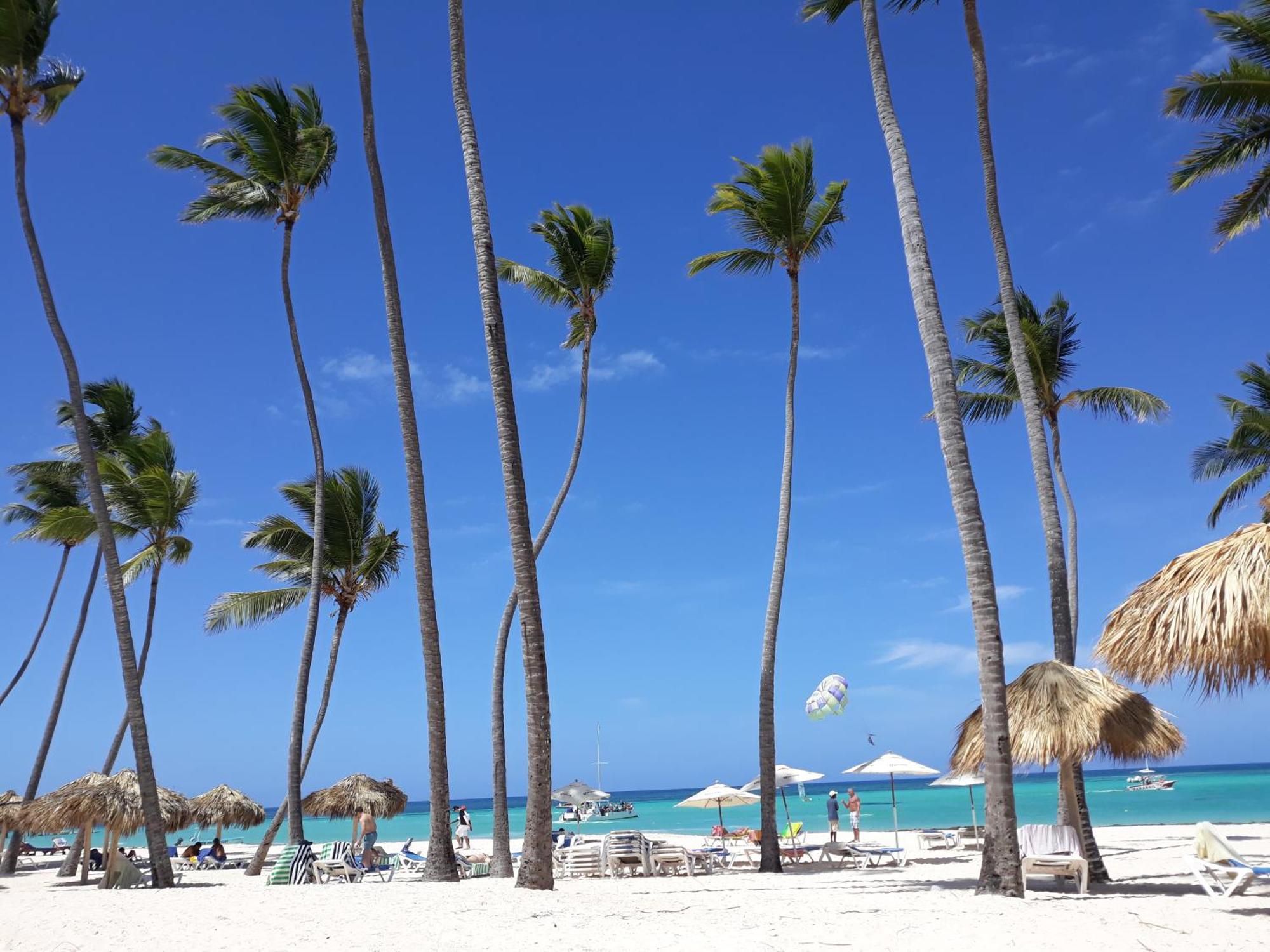 La Flor Del Caribe Beach & Spa Punta Cana Oda fotoğraf