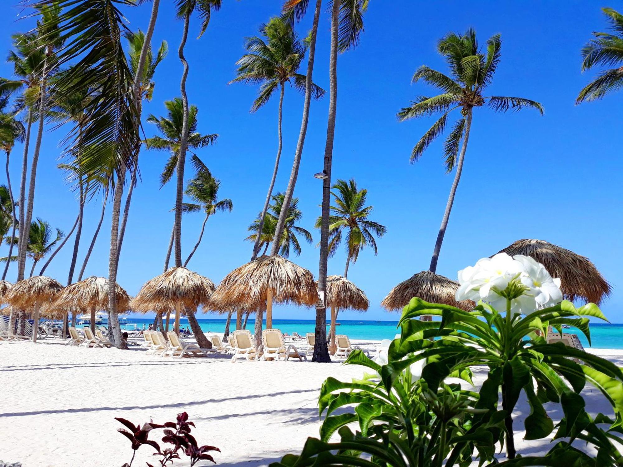 La Flor Del Caribe Beach & Spa Punta Cana Oda fotoğraf